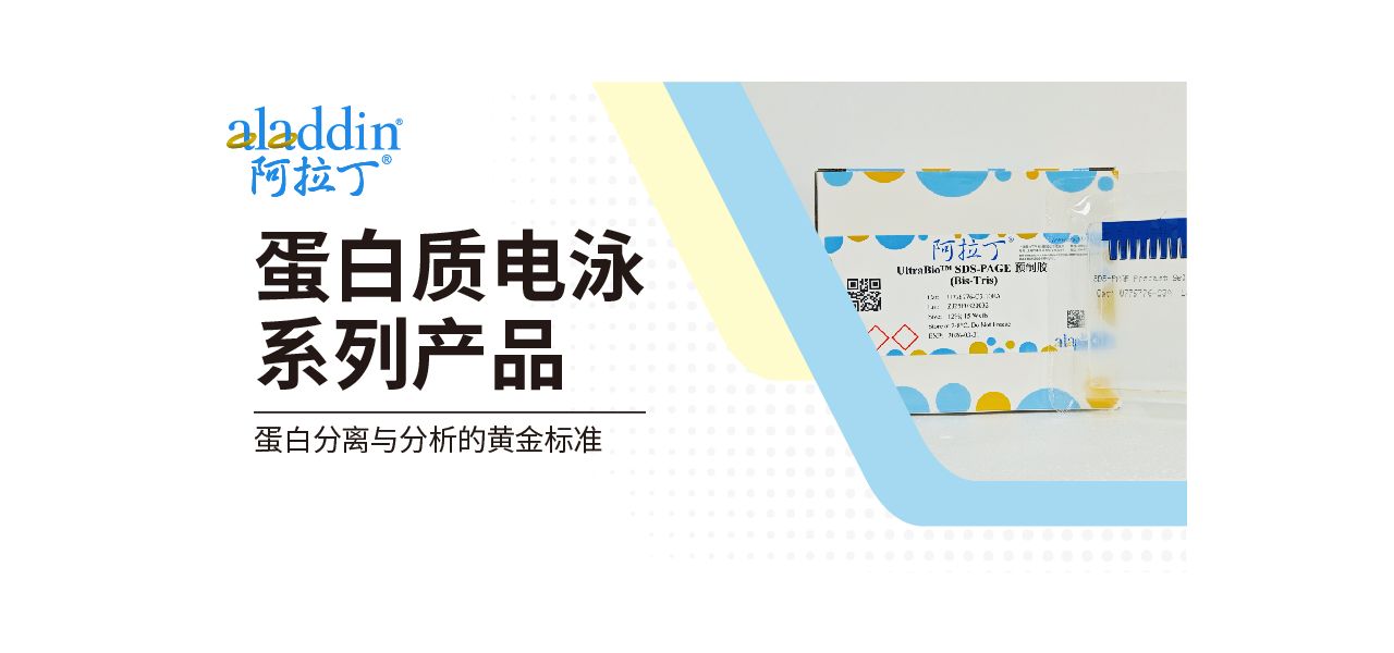 阿拉丁蛋白质电泳系列产品：蛋白分离与分析的黄金标准