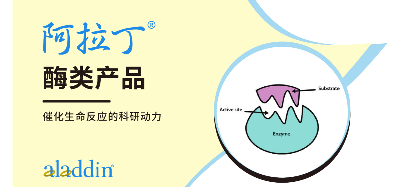 【阿拉丁】酶类产品：催化生命反应的科研动力