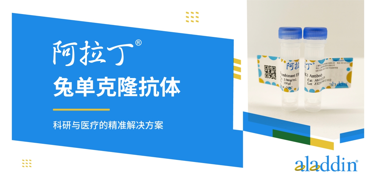 阿拉丁兔单克隆抗体 | 科研与医疗的精准解决方案