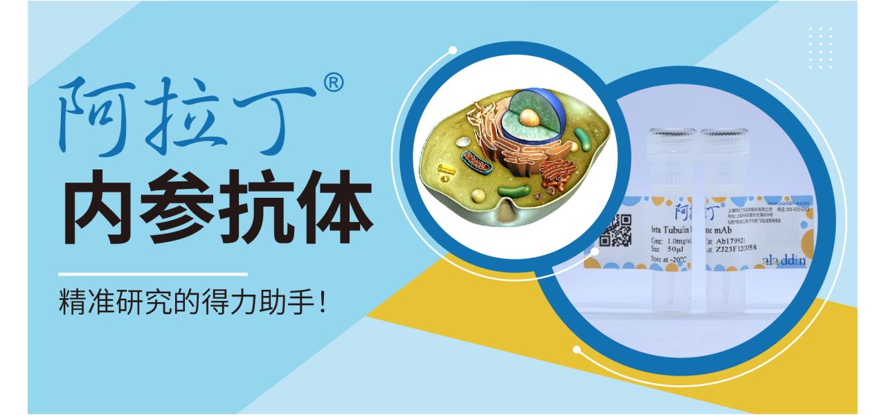 内参抗体 ｜ 阿拉丁为您提供精准研究的得力助手！