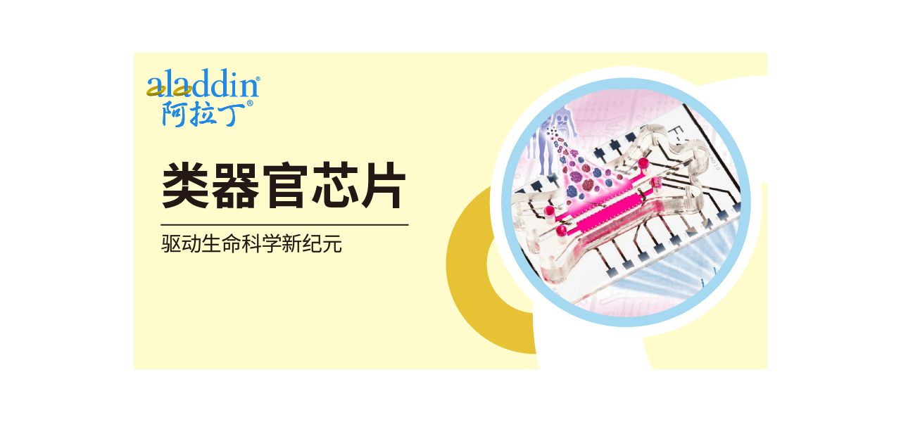 在芯片上"养"个器官：【阿拉丁】助力生命科学新突破