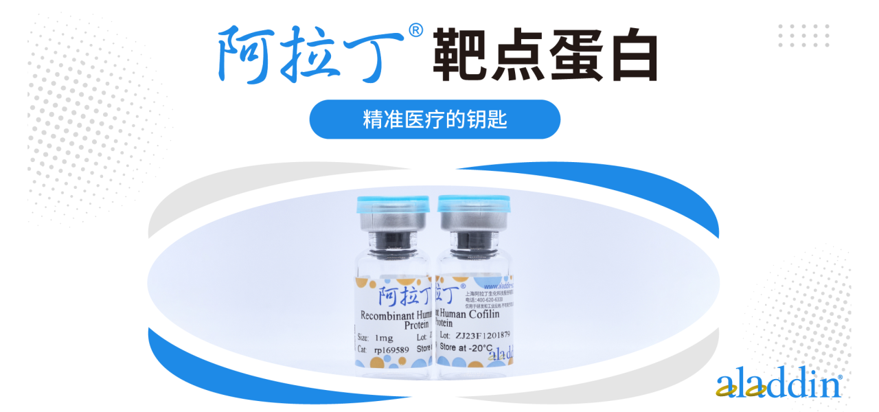 靶点蛋白 | 阿拉丁护航，彰显科研价值