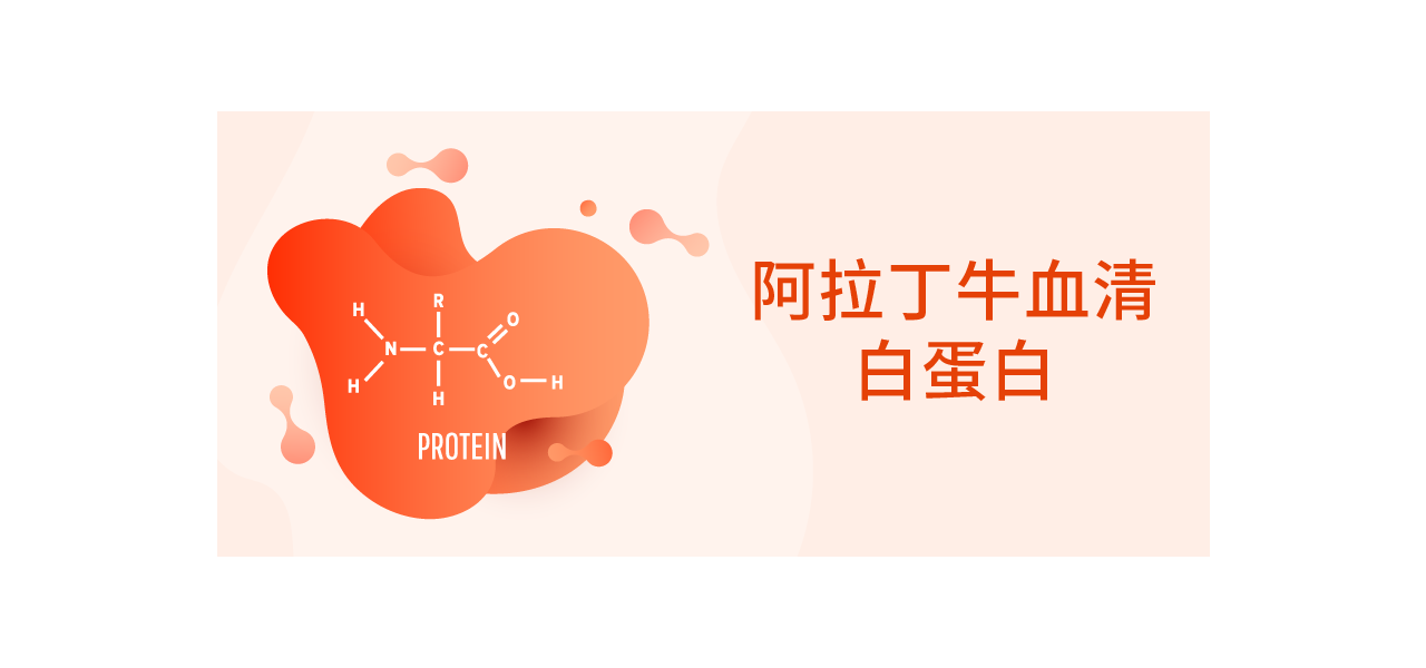 【阿拉丁】牛血清白蛋白（BSA）
