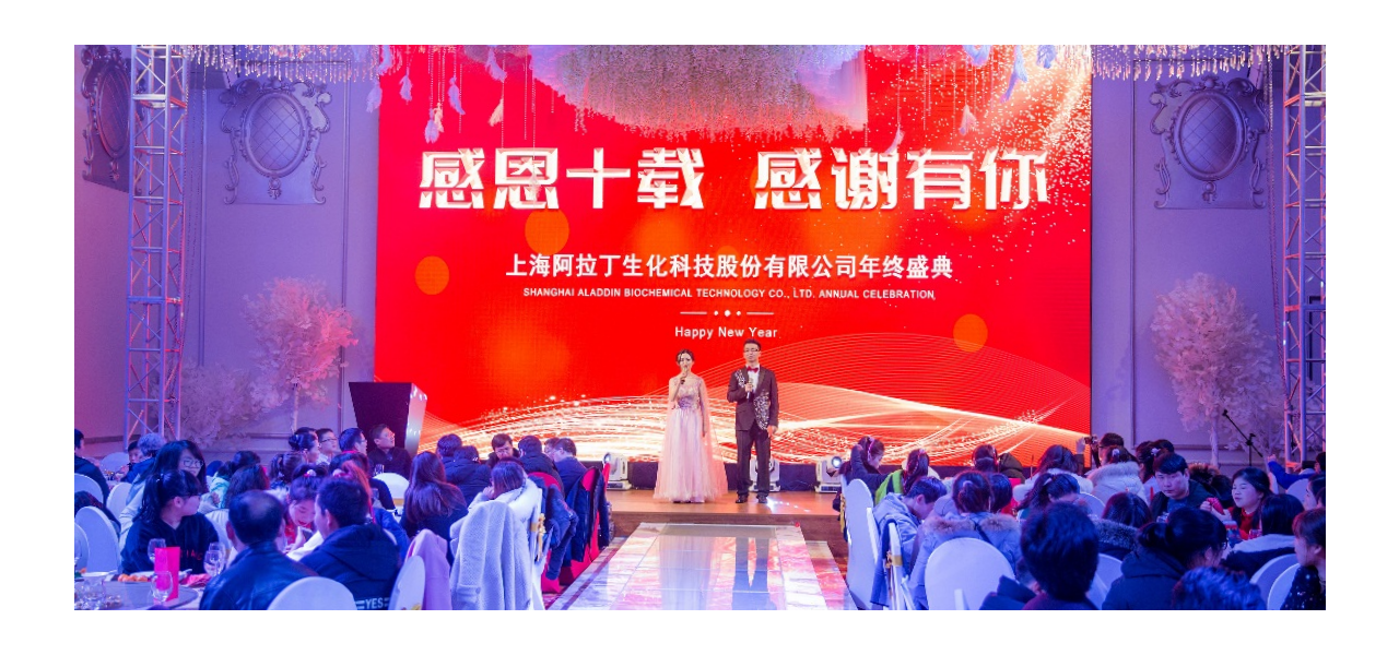 感恩十载，感谢有你！——2018阿拉丁年终盛典