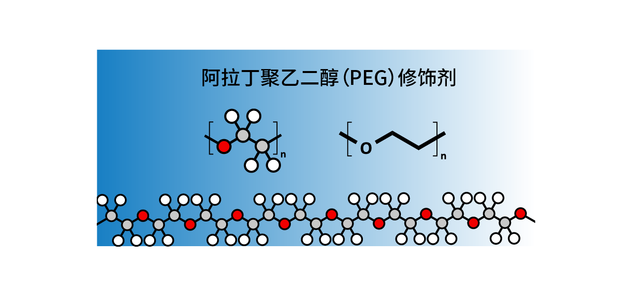 阿拉丁聚乙二醇(PEG)修饰剂(一）