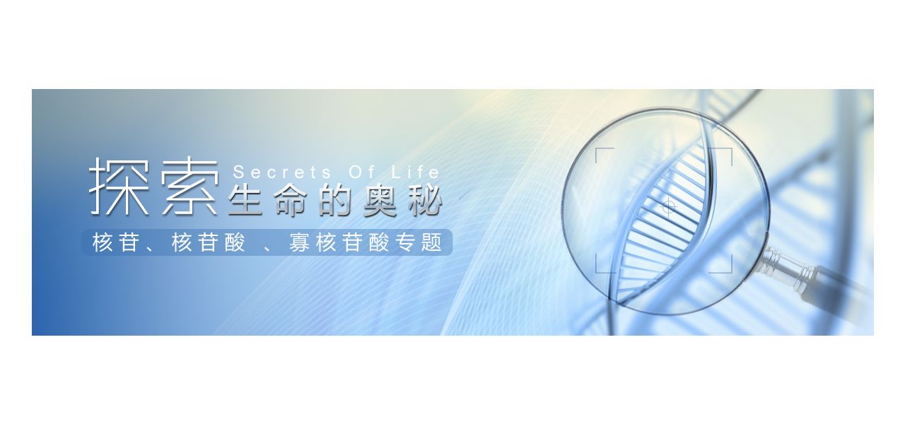 探索生命的奥秘——阿拉丁核苷，核苷酸，寡核苷酸专题 