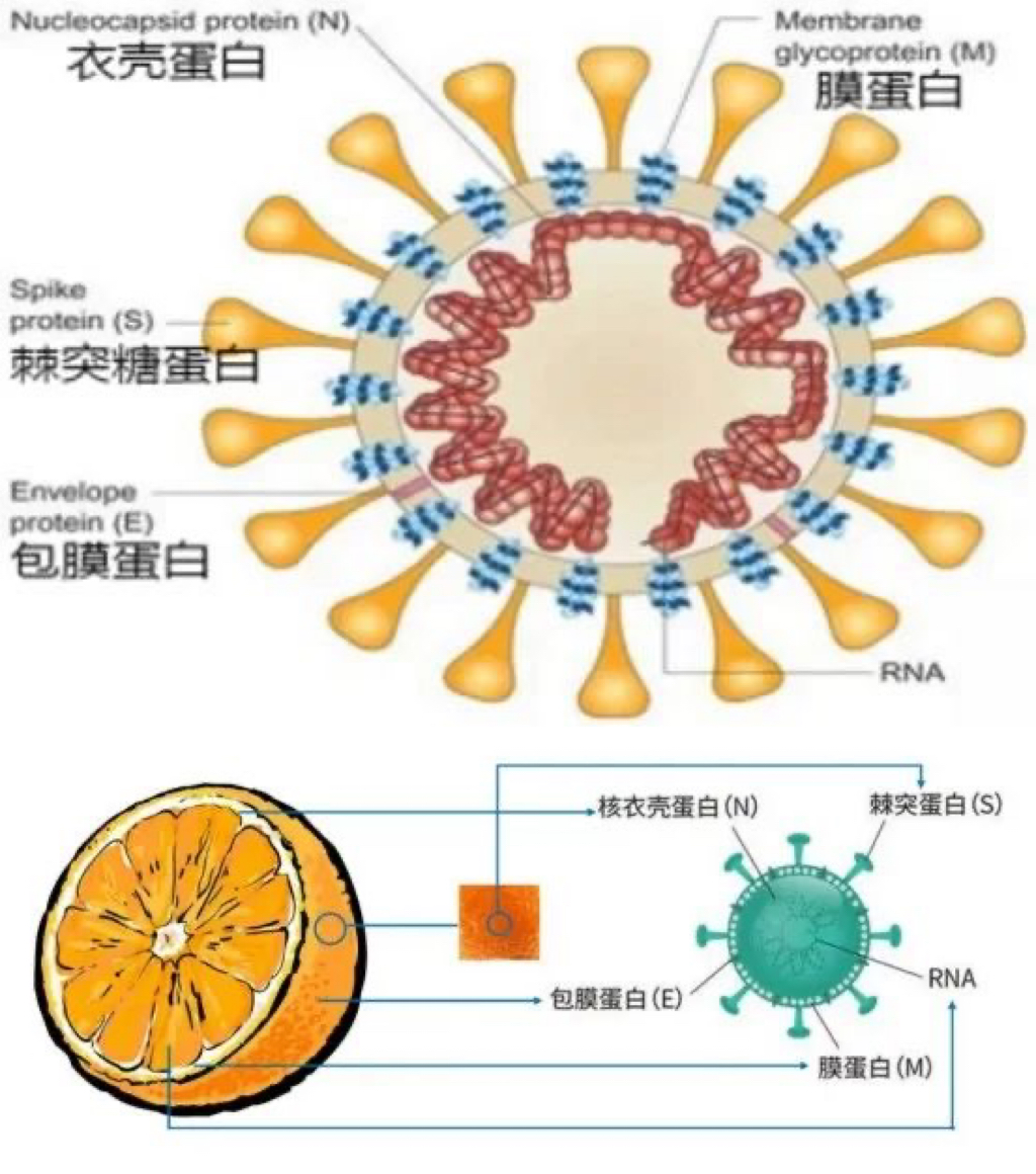图片关键词 图片关键词