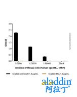 Mouse Anti-Human IgG Antibody