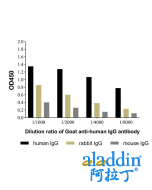 Goat Anti-Human IgG Antibody