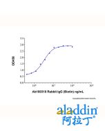 Rabbit IgG (Biotin)