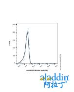 Rabbit IgG (PE)