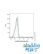 Rabbit IgG (APC)