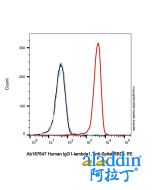Human IgG1-lambda1, anti-Spike RBD