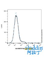 Rat IgG (AF405)