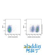 Rat IgG (AF647)