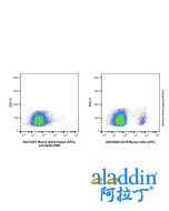 Mouse IgG2a-kappa (APC), anti-Spike RBD