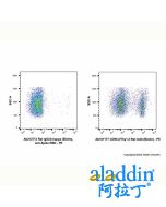 Rat IgG2b-kappa (Biotin), anti-Spike RBD