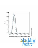 Rat IgG2a-kappa (APC), anti-Spike RBD
