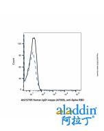 Human IgG1-kappa (AF555), anti-Spike RBD