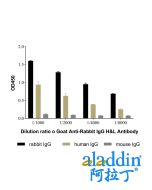 Goat Anti-Rabbit IgG H&L Antibody
