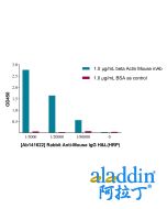 Rabbit Anti-Mouse IgG H&L (HRP)