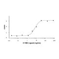 Recombinant Human 4-1BB Ligand Protein