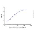 Recombinant Human Activin A Protein