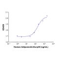 Recombinant Human Adiponectin/Acrp30 Protein