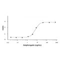 Recombinant Human Amphiregulin Protein