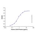 Recombinant Human Apolipoprotein H Protein