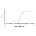Recombinant Human ARMET/ARP Protein