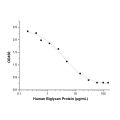 Recombinant Human Biglycan Protein