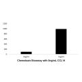 Recombinant Human CCL14 Protein