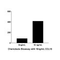 Recombinant Human CCL18 Protein