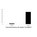 Recombinant Human CCL23/MPIF-1 Protein