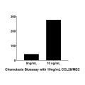 Recombinant Human CCL28 Protein
