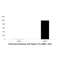 Recombinant Human CCL4/MIP-1 beta Protein