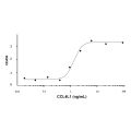 Recombinant Human CCL4L1 Protein