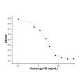 Recombinant Human gp130 Protein