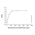 Recombinant Human BTLA Protein