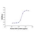 Recombinant Human CD31/PECAM-1 Protein