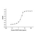 Recombinant Human CD38 Protein