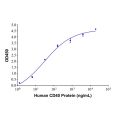 Recombinant Human CD40 Protein