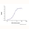 Recombinant Human CD46 Protein