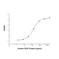 Recombinant Human CD47 Protein