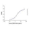 Recombinant Human CD59 Protein