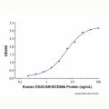 Recombinant Human CEACAM-8/CD66b Protein