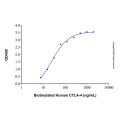 Recombinant Human B7-1/CD80 Protein