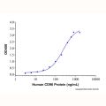Recombinant Human CD96 Protein