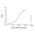 Recombinant Human CD98 Protein